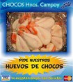 /album/nuestro-servicios/img-0479-jpg/